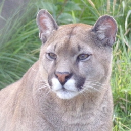 Portrait de Méghane