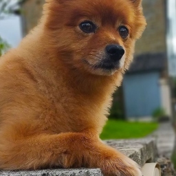 Portrait de Eponine