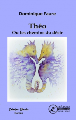 Couverture de Théo ou les chemins du désir par Dominique Faure