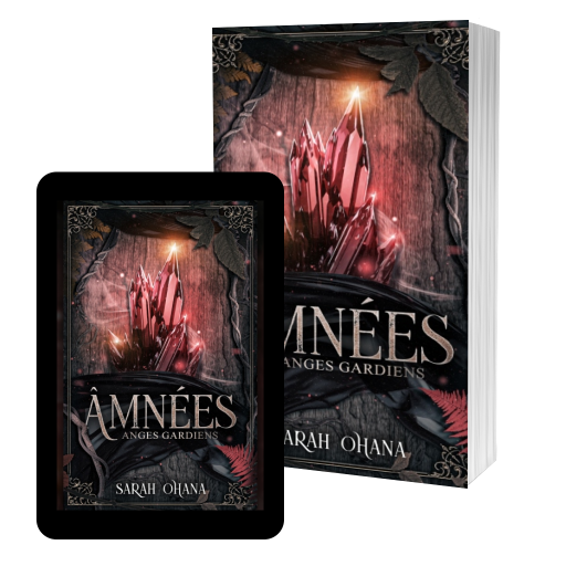 Couverture de Âmnées - Anges gardiens par Sarah Ohana