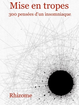 Mise en tropes : 300 pensées d'un insomniaque Cover-11161
