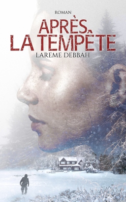 Couverture de Après la tempête par Larème Debbah