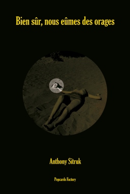 Couverture de Bien sûr, nous eûmes des orages par Anthony SITRUK