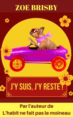 Couverture de La solitude du gilet jaune par Zoe Brisby