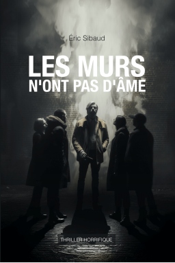 Couverture de Les murs n'ont pas d'âme par Eric Sibaud