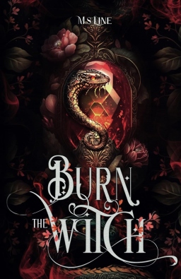 Couverture de Burn the witch par M.S Line