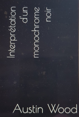 Couverture de Interprétation d'un monochrome noir par Austin Wood