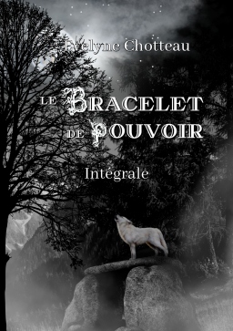 Couverture de Le bracelet de pouvoir - Intégrale par Evelyne Chotteau