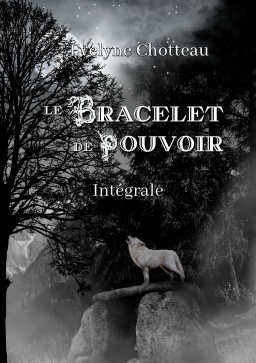Couverture de Le bracelet de pouvoir - Int&eacute;grale par Evelyne Chotteau