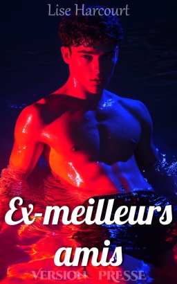 Couverture de Ex-meilleurs amis par Lise Harcourt