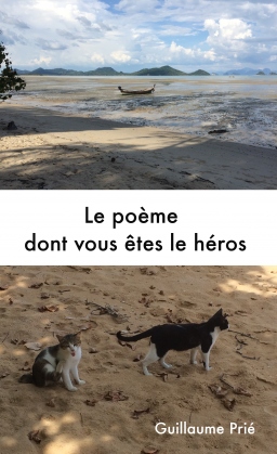 Couverture de Le poème dont vous êtes le héros par Guillaume Prié