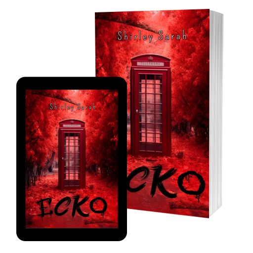 Couverture de Ecko par Shirley Sarah