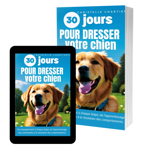 Couverture de La méthode pour Dresser son chien en 15 minutes par jour: Guide complet de dressage conçu par un expert canin : obéissance, propreté, aboiements par Christelle Chartier