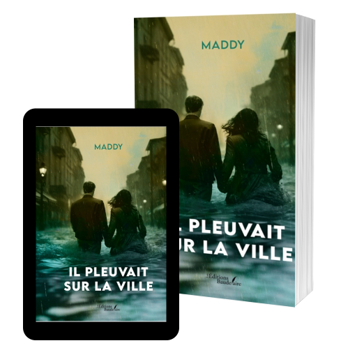 Couverture de Il pleuvait sur la ville par Maddy