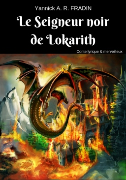 Couverture de Le Seigneur noir de Lokarith par Yannick A. R. FRADIN