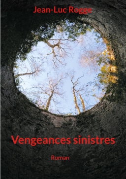 Couverture de Vengeances sinistres par Jean-Luc Rogge