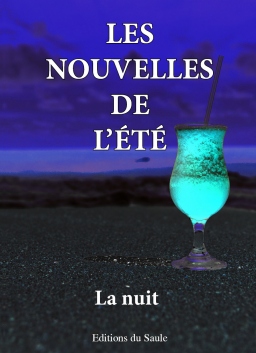 Couverture de Les nouvelles de l'été - La nuit par Gavriel Howard Feist, Claudine Couppe, Anne-Laure Guillaumat, Nathalie Vedrine, Aurélie Torre, Marie-Rachel Aparis, Michel Giraud, Sandrine Waronski, Danielle Kleden