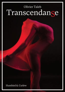 Couverture de TranscendanSe par Olivier Taïeb