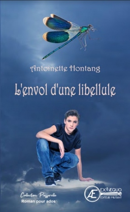 Couverture de L'envol d'une libellule par Antoinette Hontang