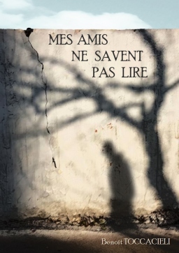Couverture de Mes amis ne savent pas lire par Benoit Toccacieli