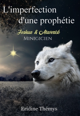 Couverture de L'imperfection d'une prophétie : Minigicien T0.5 (MM) par Eridine Thémys