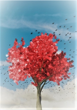 Couverture de Aux Prémices de la Nuit : Livre 1 - L'Arbre Rouge par Ian Nale