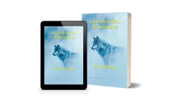 Couverture de Lucca Benedetti de Mazarone : L’esprit de Koshka par Carl De San M.