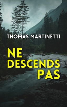 Couverture de NE DESCENDS PAS par Thomas Martinetti