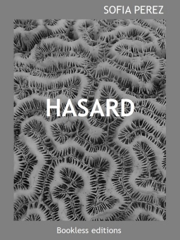 Couverture de Hasard par Sofia Perez