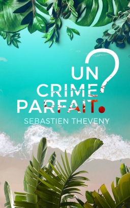 Couverture de Un crime parfait ? par Sébastien Theveny