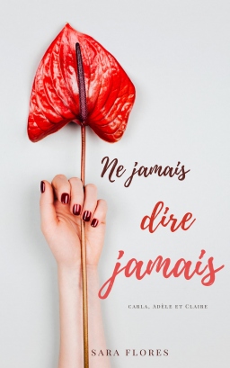 Couverture de Ne jamais dire jamais par Sara Flores