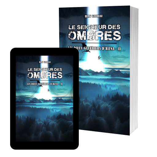 Couverture de Le Seigneur des Ombres par R&eacute;my Garreau