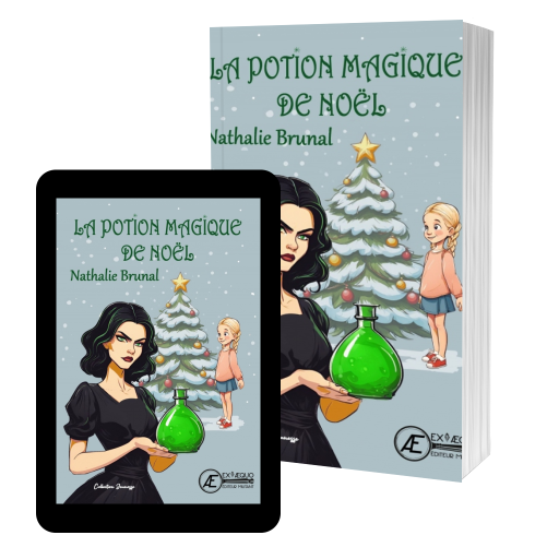 Couverture de La Potion magique de Noel par Nathalie Brunal