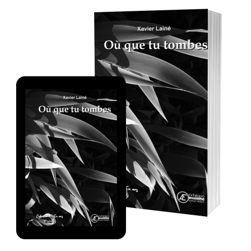 Couverture de Où que tu tombes par Xavier Lainé