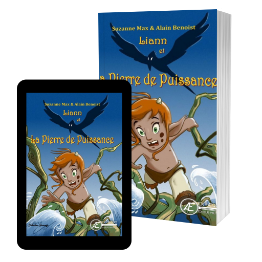 Couverture de Liann et la pierre de puissance par Suzanne Max & Alain Benoist