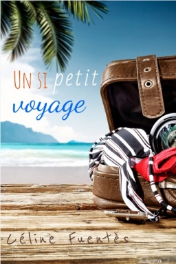 Couverture de Un si petit voyage par Céline Fuentès