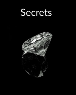 Couverture de Le prix du pouvoir: secrets tome 1 par Carolina grillo