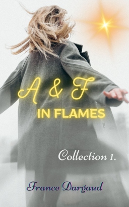 Couverture de A & F IN FLAMES par France Arnaud (Dargaud)