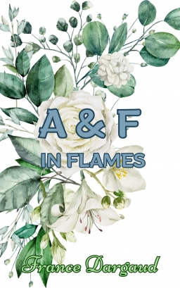 Couverture de A & F IN FLAMES - Vision à distance - médium par France Arnaud (Dargaud)