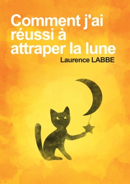 Couverture de Comment j'ai réussi à attraper la lune par LAURENCE LABBE