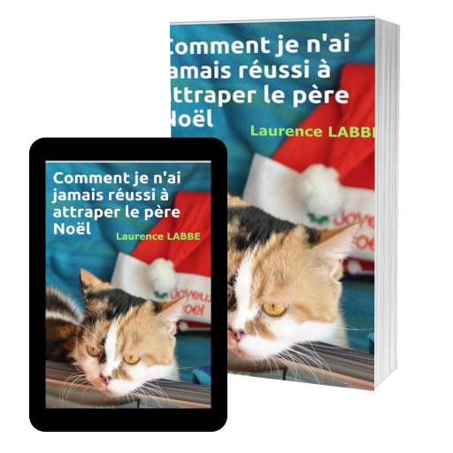 Couverture de Comment je n'ai jamais r&eacute;ussi &agrave; attraper le p&egrave;re No&euml;l par LAURENCE LABBE