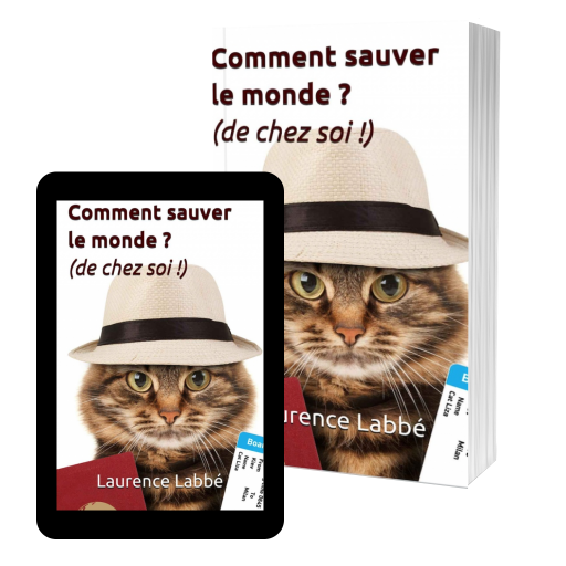 Couverture de Comment sauver le monde ? (de chez soi !) par LAURENCE LABBE