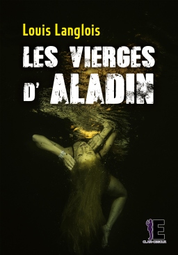 Couverture de Les vierges d'Aladin par Louis Langlois