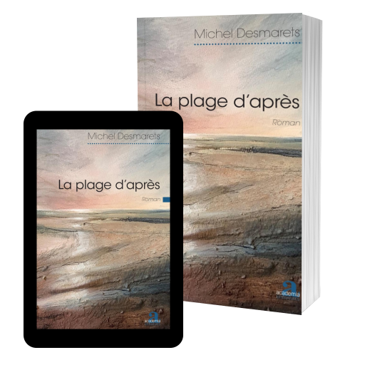 Couverture de La plage d'après par Michel Desmarets