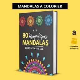 Couverture de Mes 80 Magnifiques Mandalas par Podtodigital