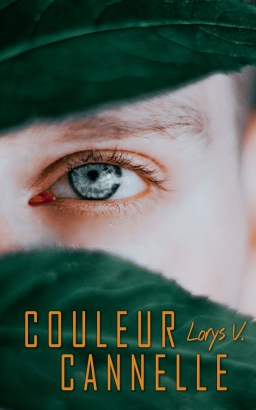 Couverture de Couleur cannelle par Lorys V.