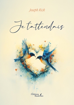 Couverture de Je t'attendais par Joseph RIZK