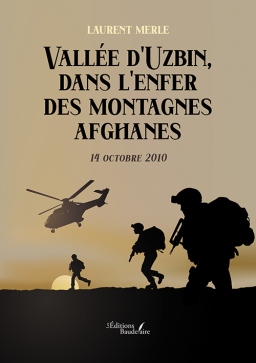 Couverture de Vallée d'Uzbin, dans l'enfer des montagnes afghanes par Laurent MERLE