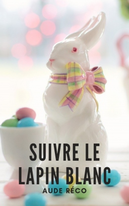 Couverture de Suivre le lapin blanc par Aude Réco